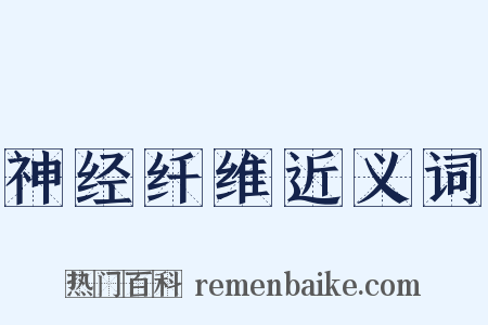 神经纤维近义词是什么意思的图片